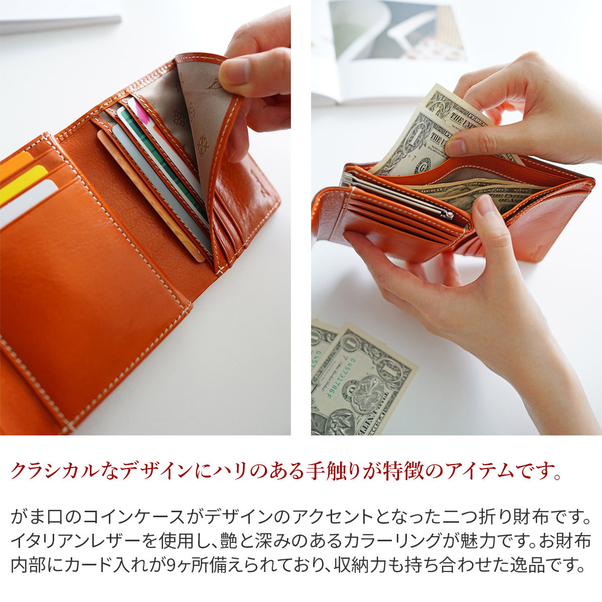 ダコタ Dakota トリコローレ 小銭入れ付き二つ折り財布 0030271