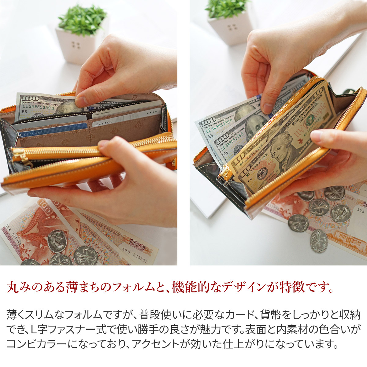 Dakota（ダコタ） 【最大p31％ 3年保証＋プレゼント付】 チェルキオ