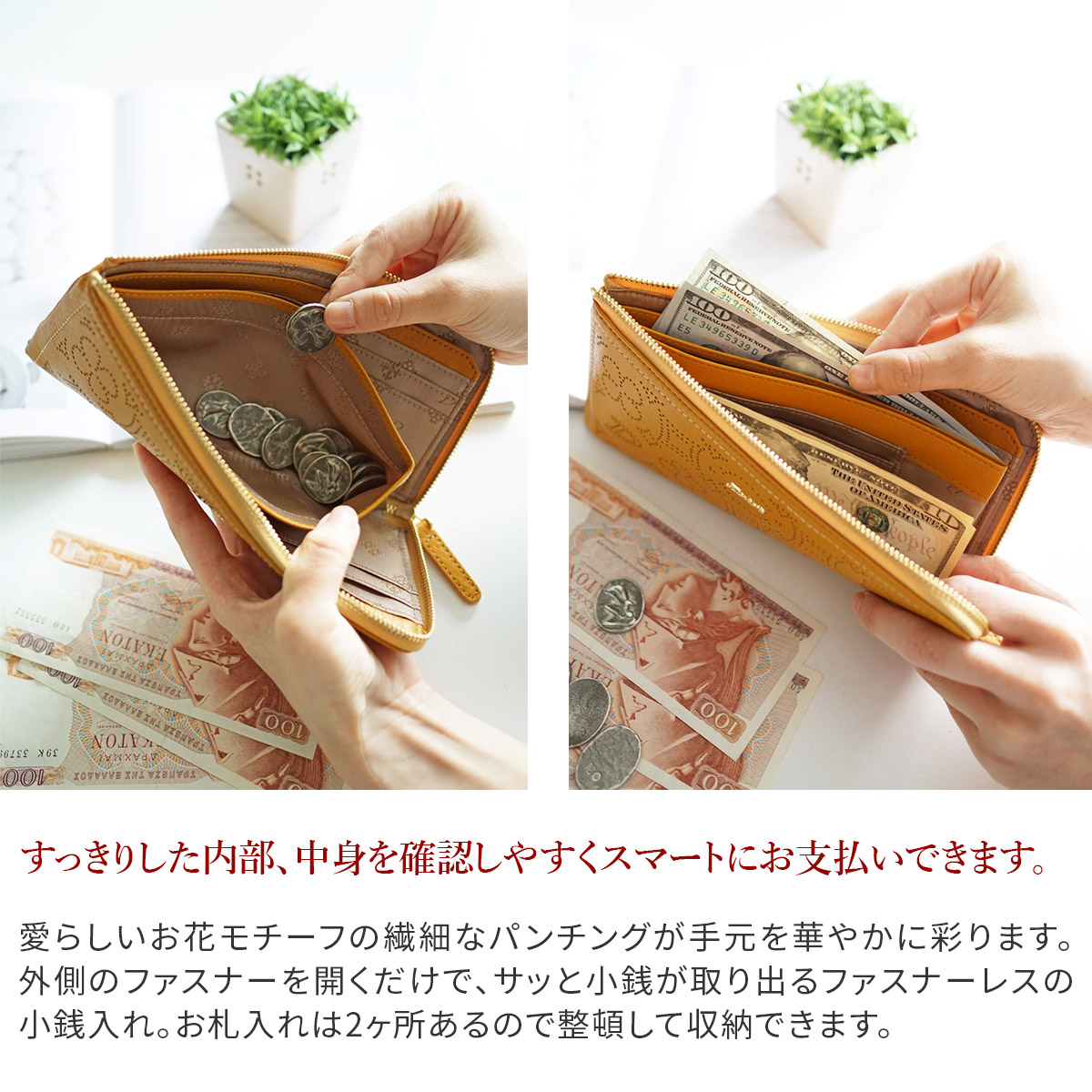 Dakota 【Wプレゼント付】 ダコタ ディクラッセ 小銭入れ付き長 Dakota 【Wプレゼント付】 ダコタ ディクラッセ 小銭入れ付き長
