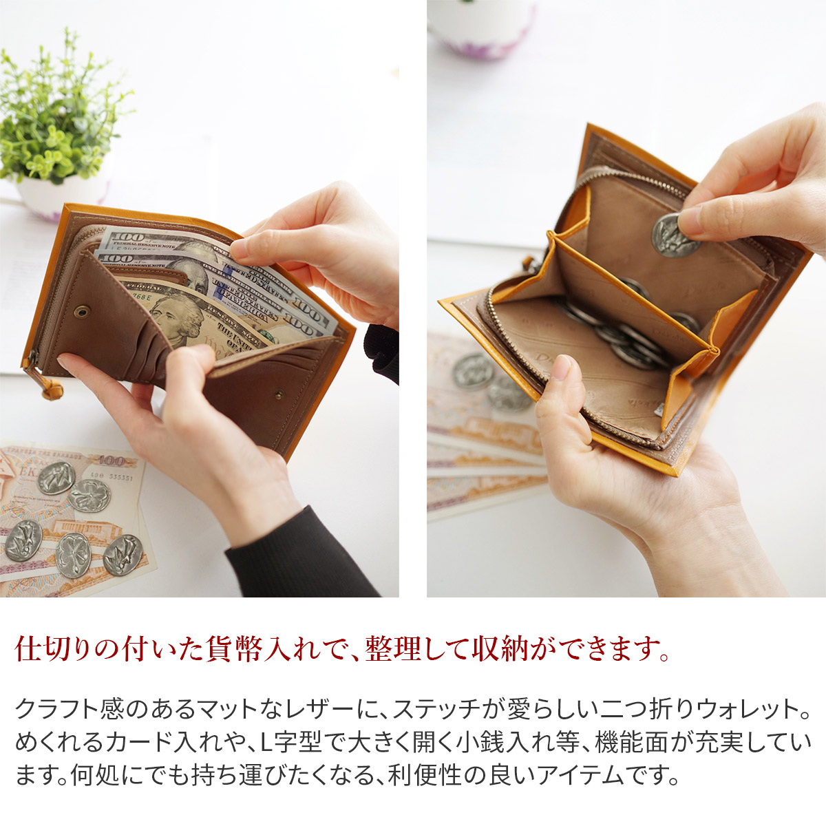 Dakota ダコタ ピアッタ　二つ折り財布　コンパクトウォレット Dakota（ダコタ） 3年保証＋プレゼント付 ピアッタ 小銭入れ付き二