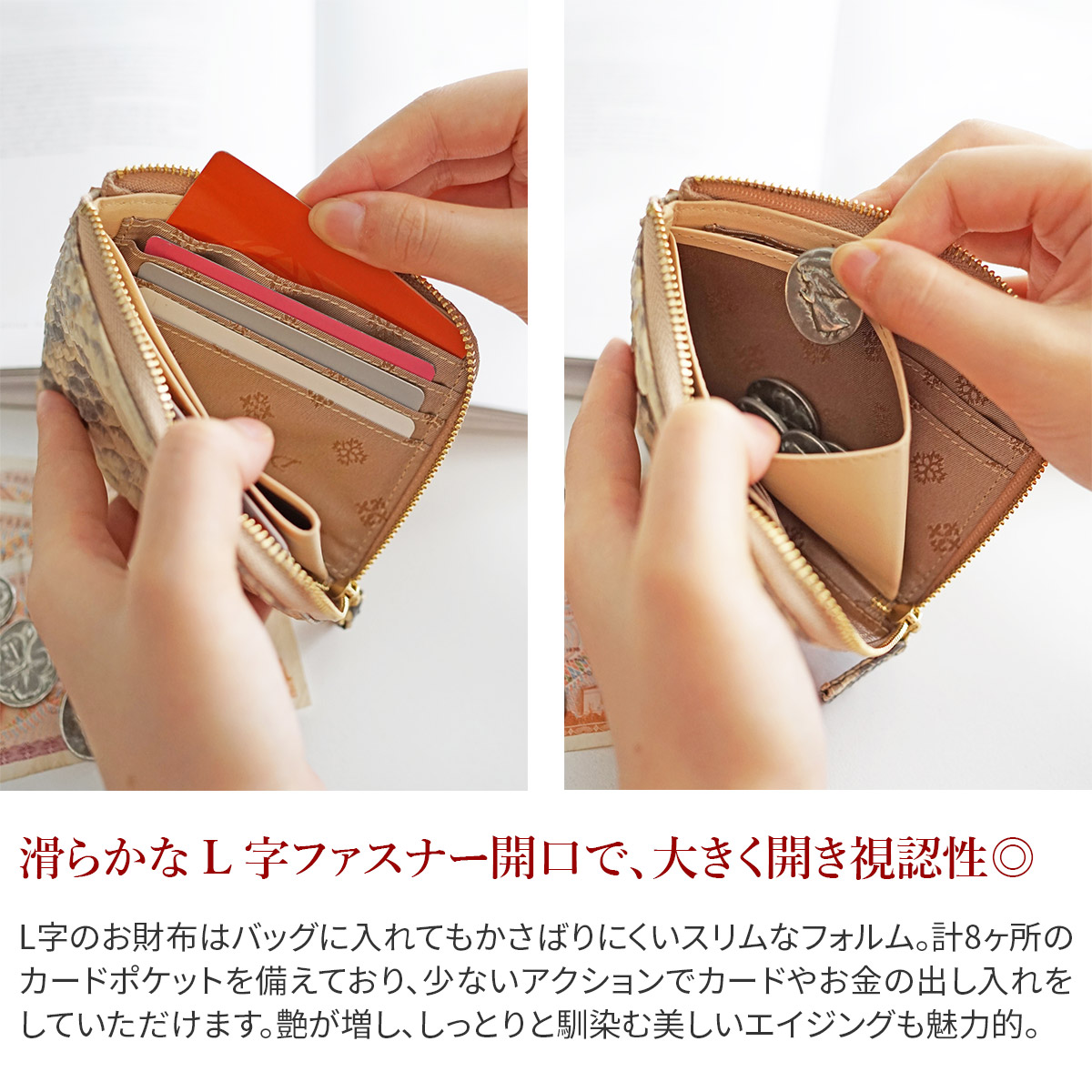 Dakota（ダコタ） 3年保証＋プレゼント付 サーペント 小銭入れ付き財布 