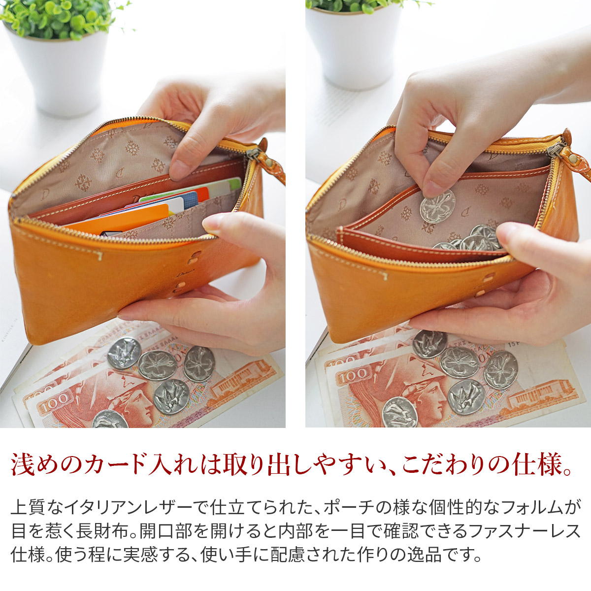 Dakota（ダコタ） 3年保証＋プレゼント付 ペルリーネ 小銭入れ付き長 