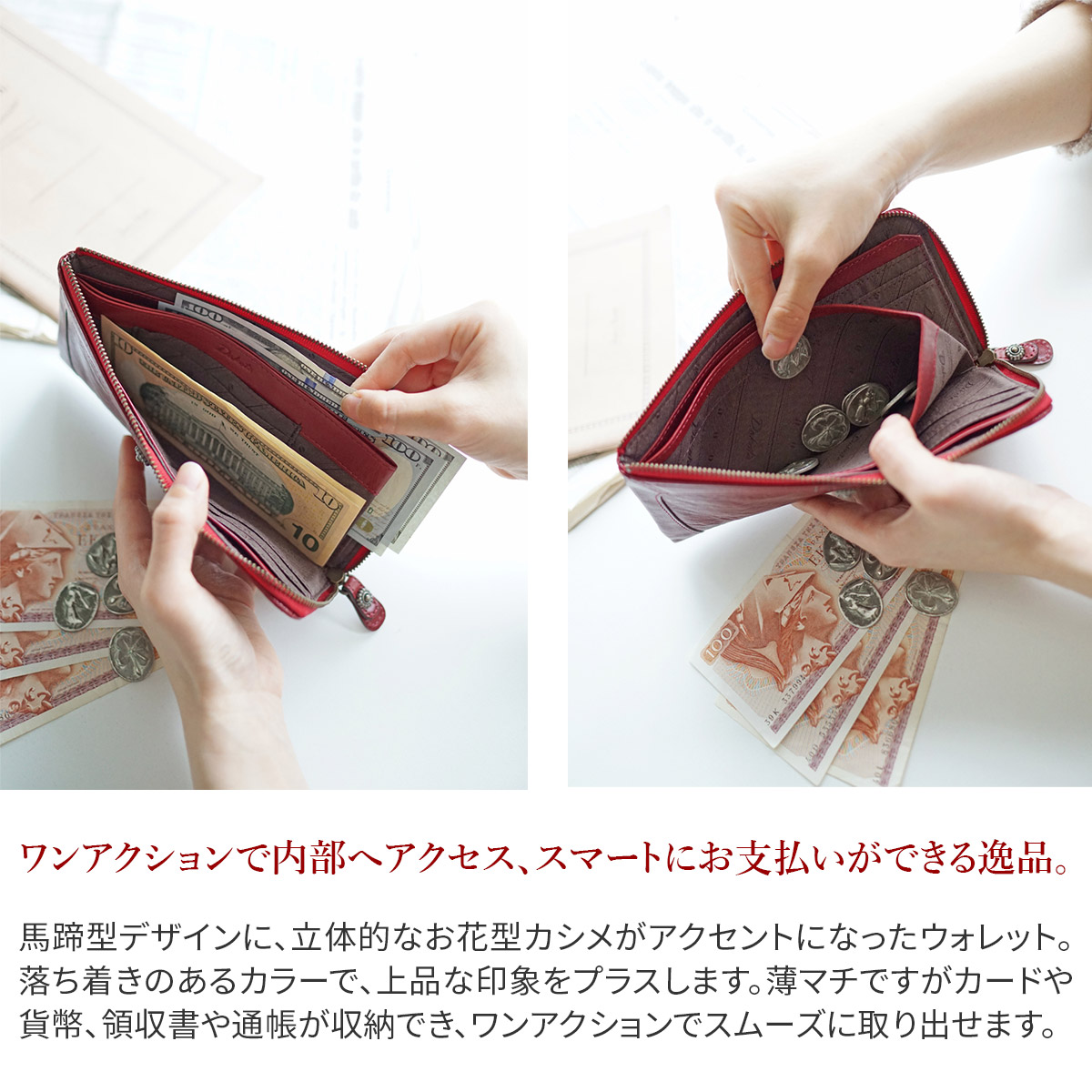 Dakota 【Wプレゼント付】 ダコタ リードクラシック 小銭入れ