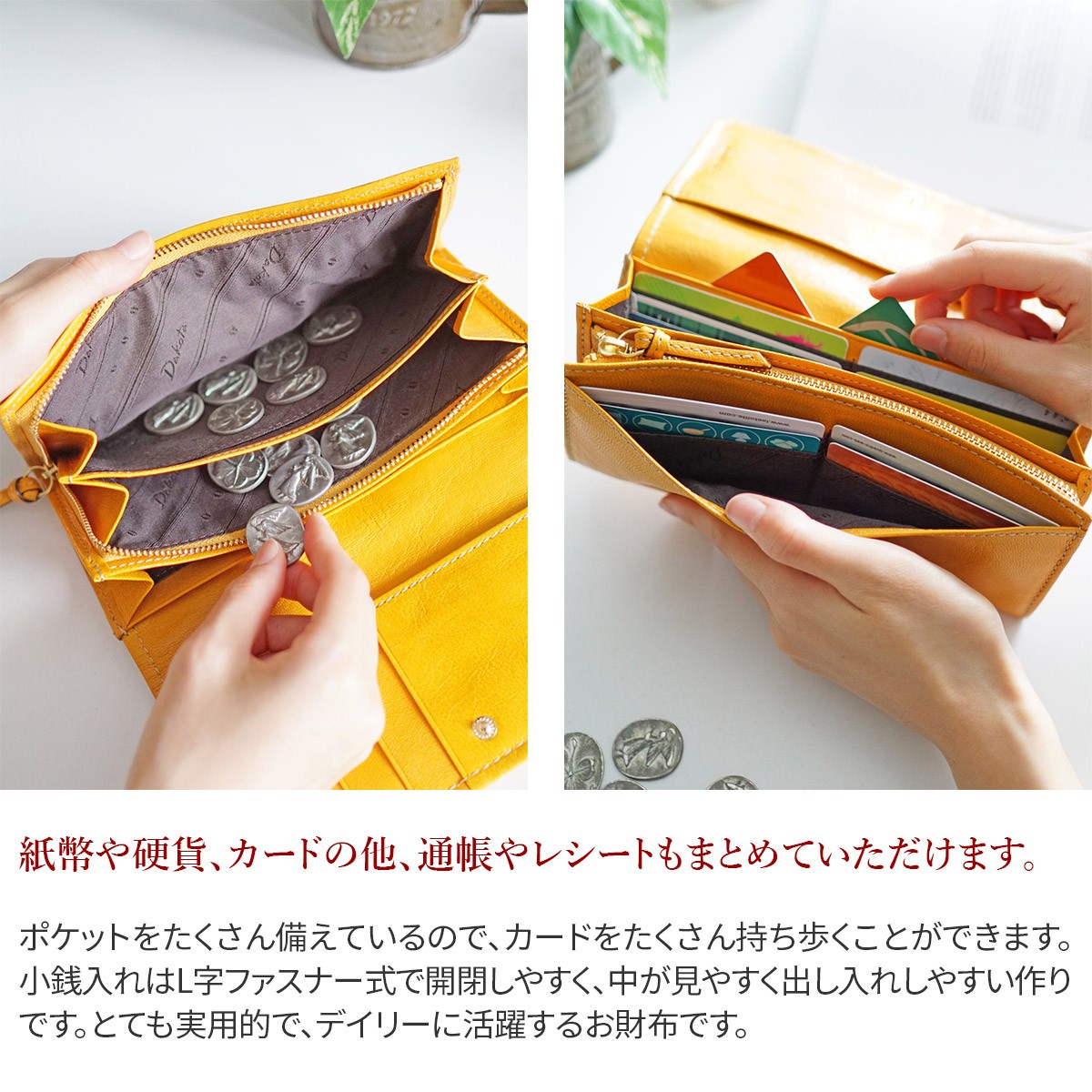 【最大p32％Ｗプレゼント付】 Dakota ダコタ モデルノ 小銭入れ付き長財布 0035082（0034082） | Dakota | 07