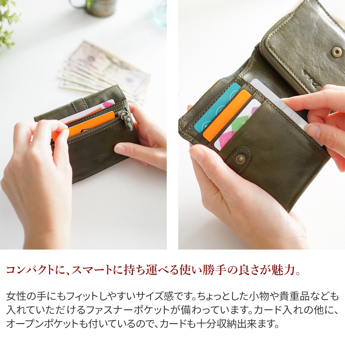 Dakota 【最大p29%Wプレゼント付】 ダコタ クラプトン 小銭 Dakota 【最大p29%Wプレゼント付】 ダコタ クラプトン 小銭