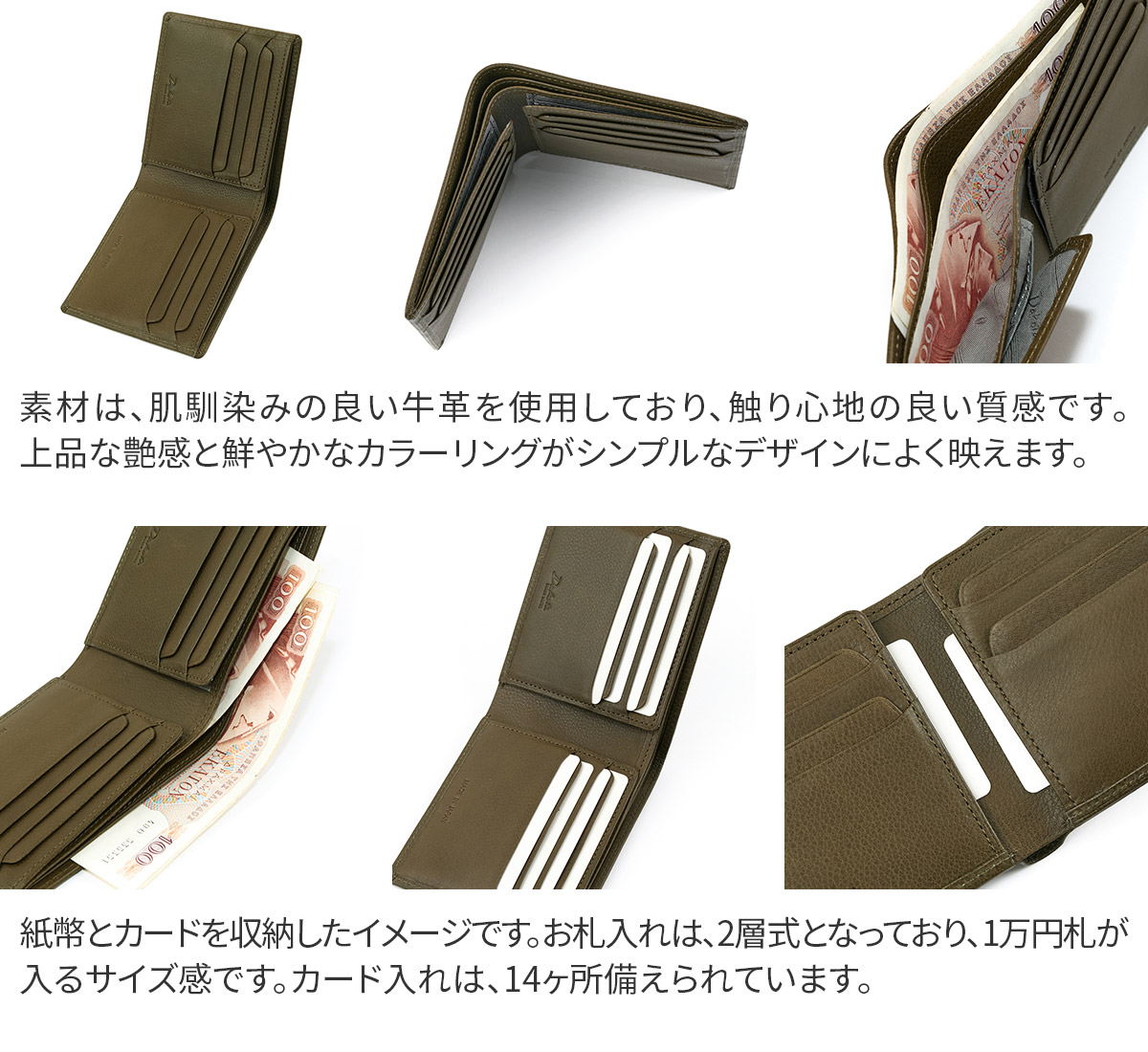 Dakota 【Wプレゼント付】 BLACK LABEL ダコタ ブラック