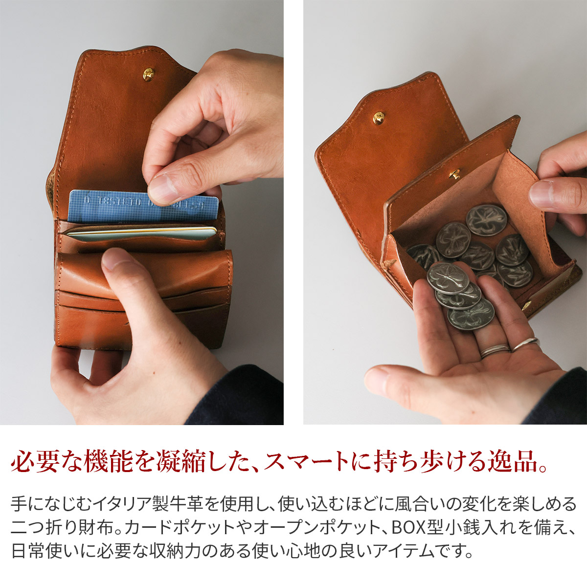Dakota（ダコタ） ブラックレーベル 3年保証＋プレゼント付 Dakota