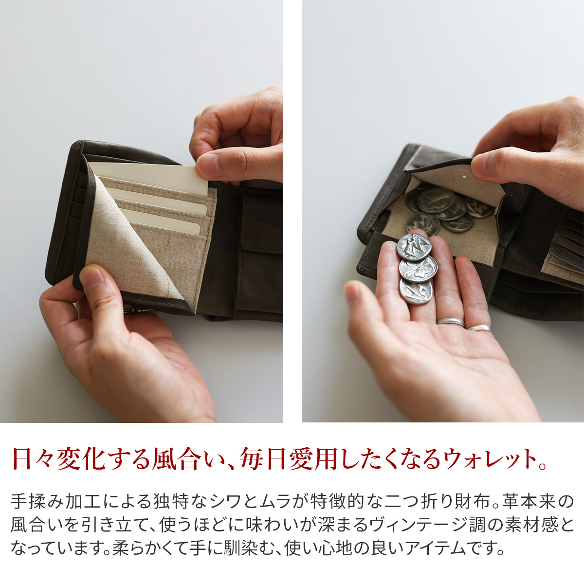 Dakota（ダコタ） ブラックレーベル 3年保証＋プレゼント付 Dakota