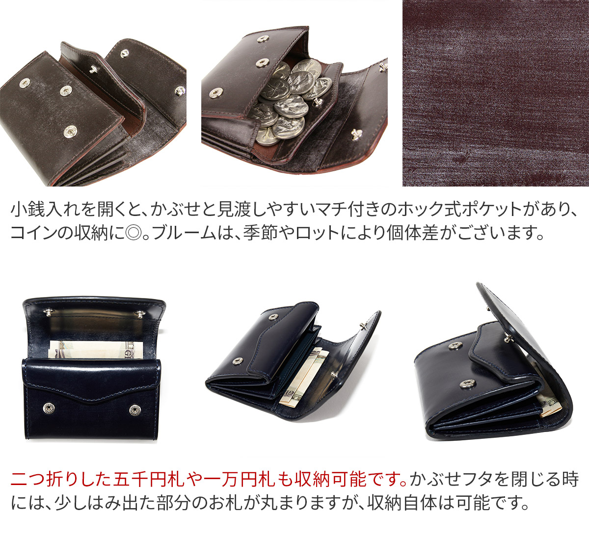 CORBO. コルボ -face Bridle Leather- フェイス ブライドルレザー シリーズ Ｗカブセ カードコインケース 1LD-0221｜sentire-one｜14