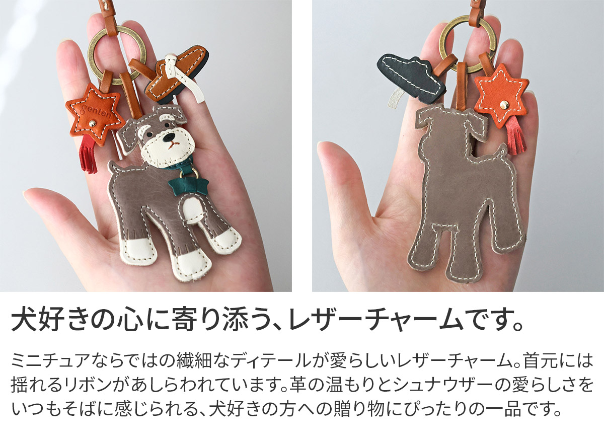 genten（ゲンテン） 【ケアセット＋安心の3年保証付】 WAKU WAKU Charm