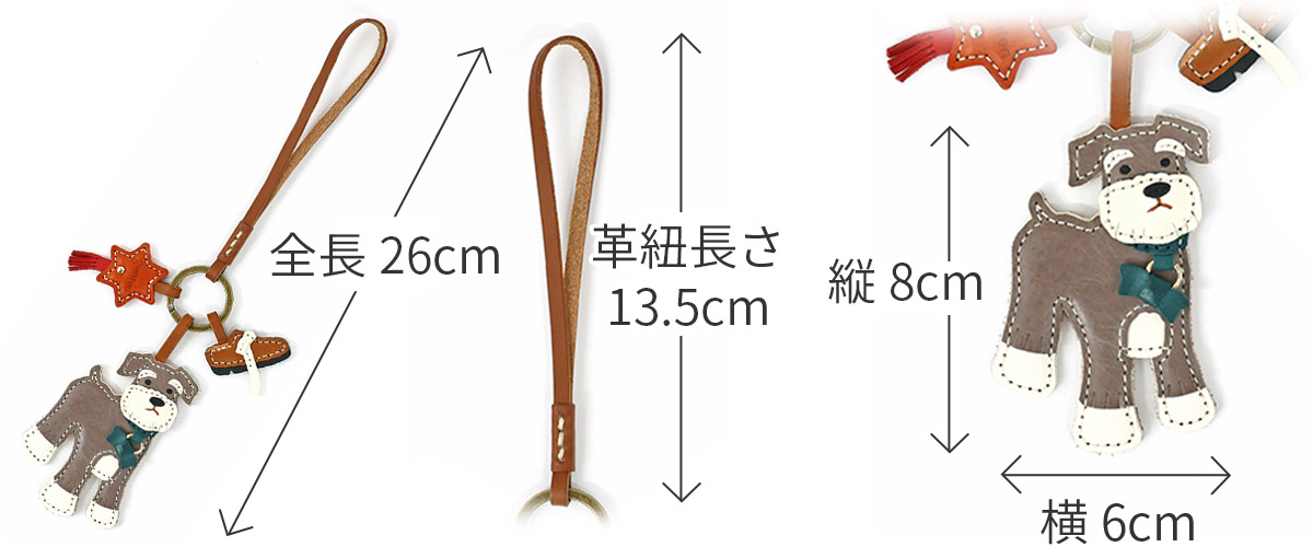 genten（ゲンテン） 3年保証＋ケアセット付 WAKU WAKU Charm ワクワク