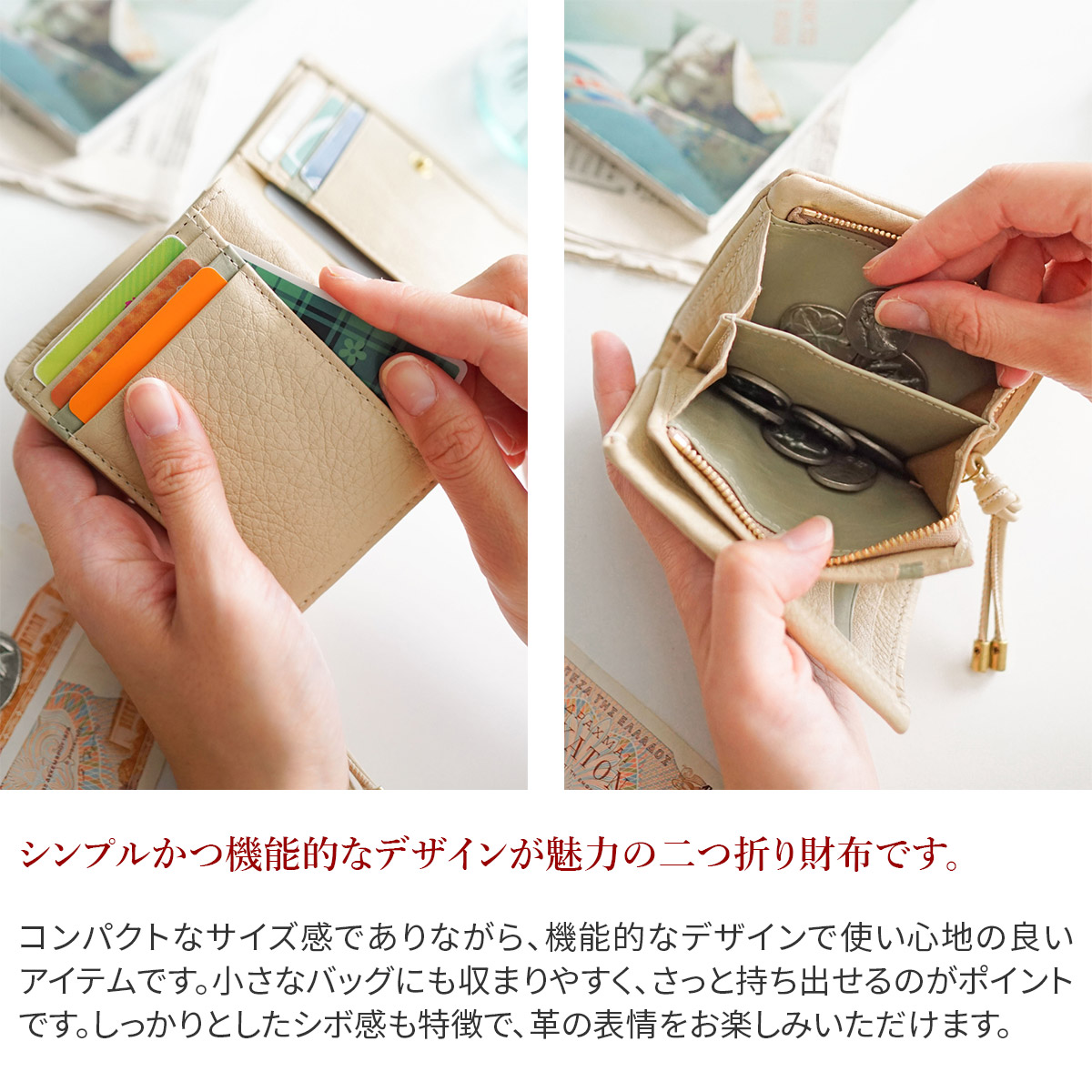 genten（ゲンテン） cuscino クッシーノ 小銭入れ付き二つ折り財布