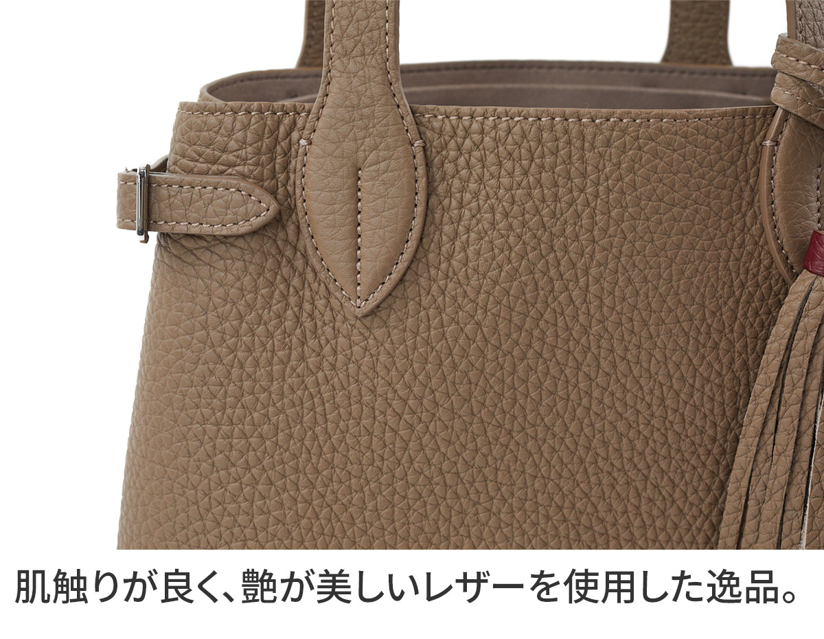 アカーテ 3年保証＋ケアセット付 ACATE アカーテ LODOS MINI ロドスミニ ミニ トートバッグ ACT-LODOS-MINIの画像