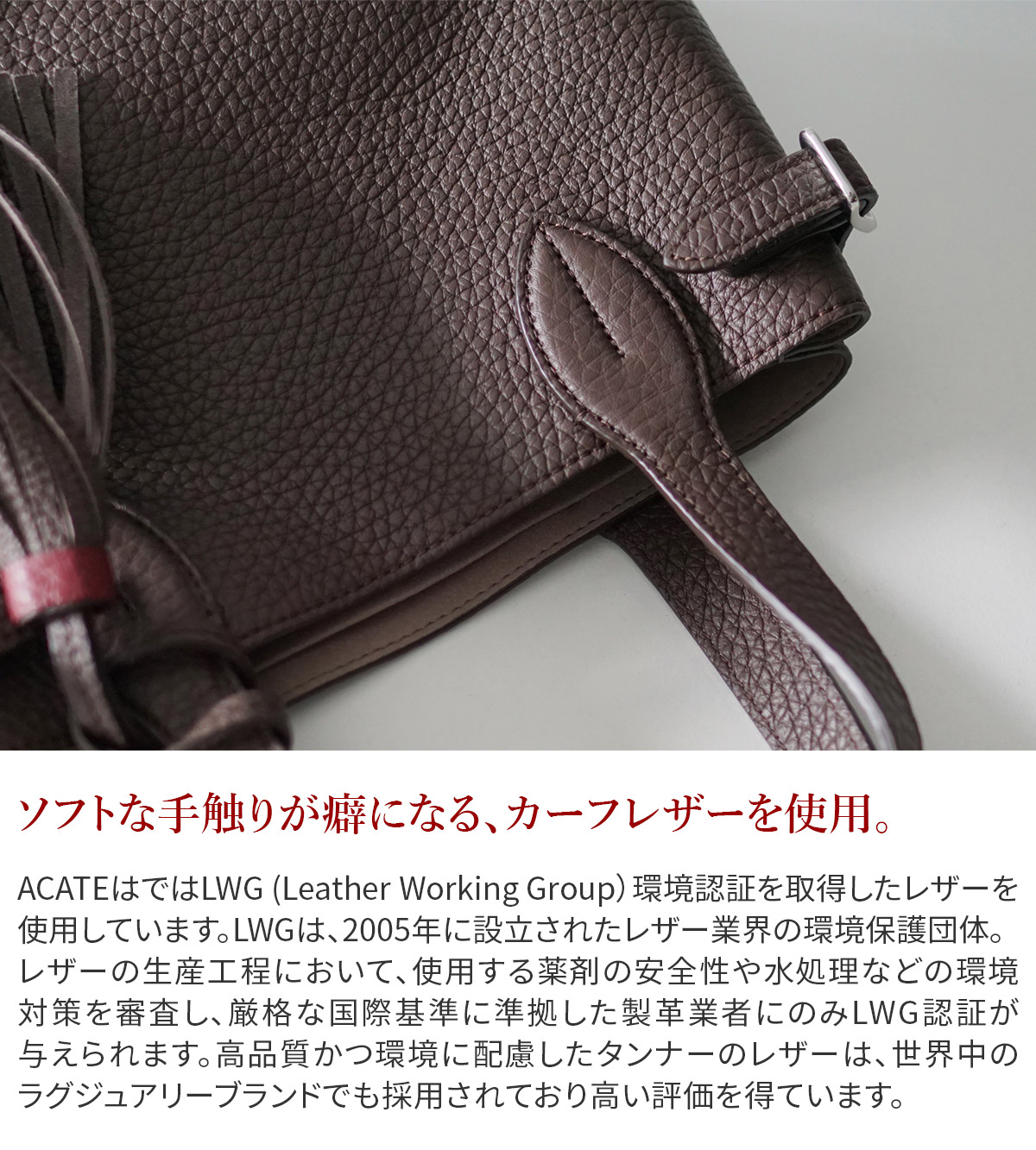 アカーテ 3年保証＋ケアセット付 ACATE アカーテ LODOS MINI ロドスミニ ミニ トートバッグ ACT-LODOS-MINIの画像