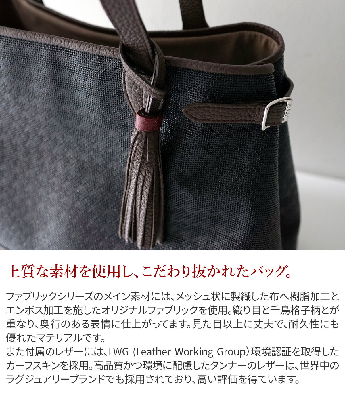 アカーテ 3年保証＋ケアセット付 ACATE アカーテ LODOS2 ロドス2 トートバッグ ACT-LODOS2 FABRICの画像