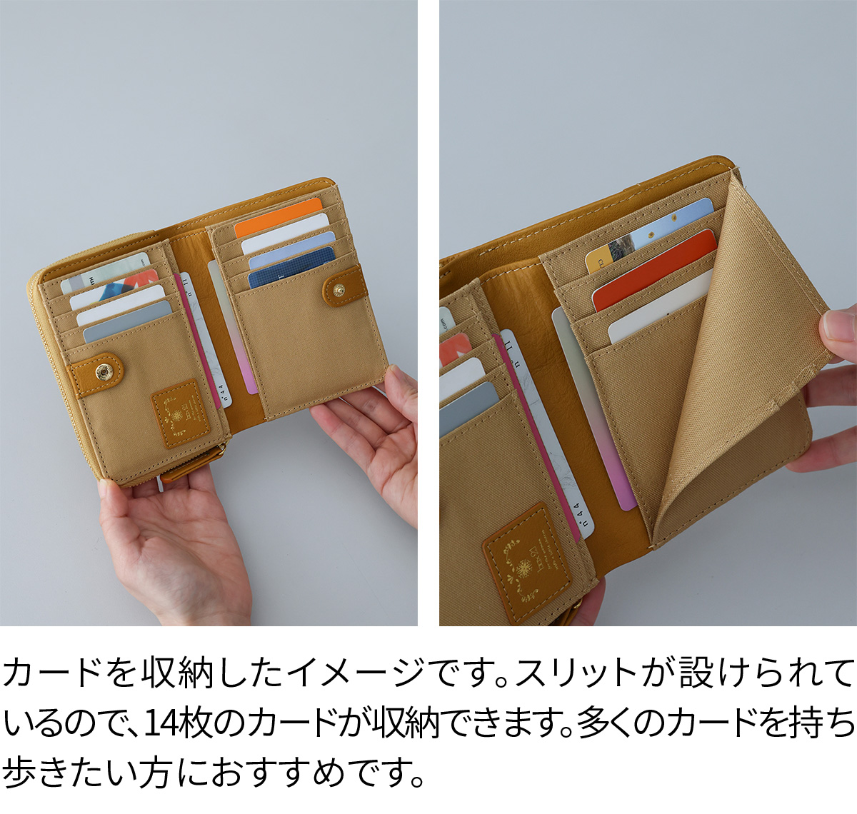 box21 ボックス21 3年保証付 ボックス21 ジューン 小銭入れ付き二