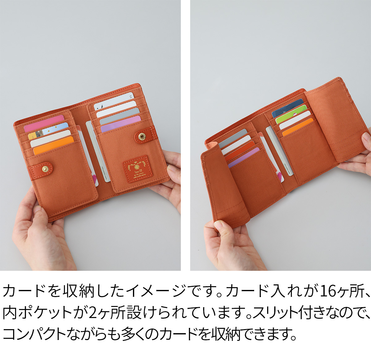 box21 ボックス21 3年保証付 ボックス21 ジューン カードケース