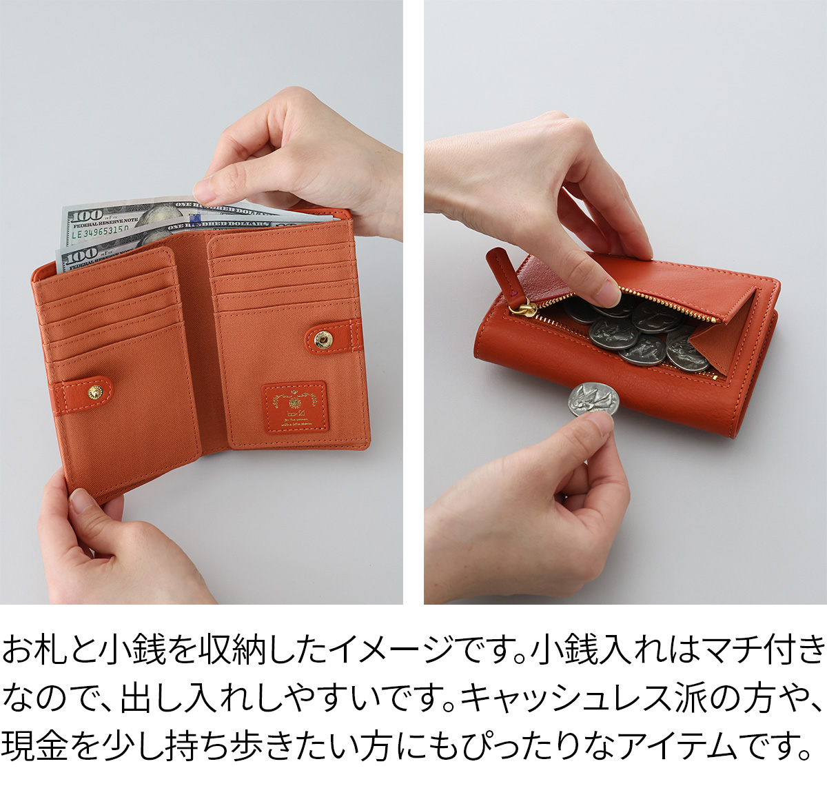 box21 ボックス21 3年保証付 ボックス21 ジューン カードケース