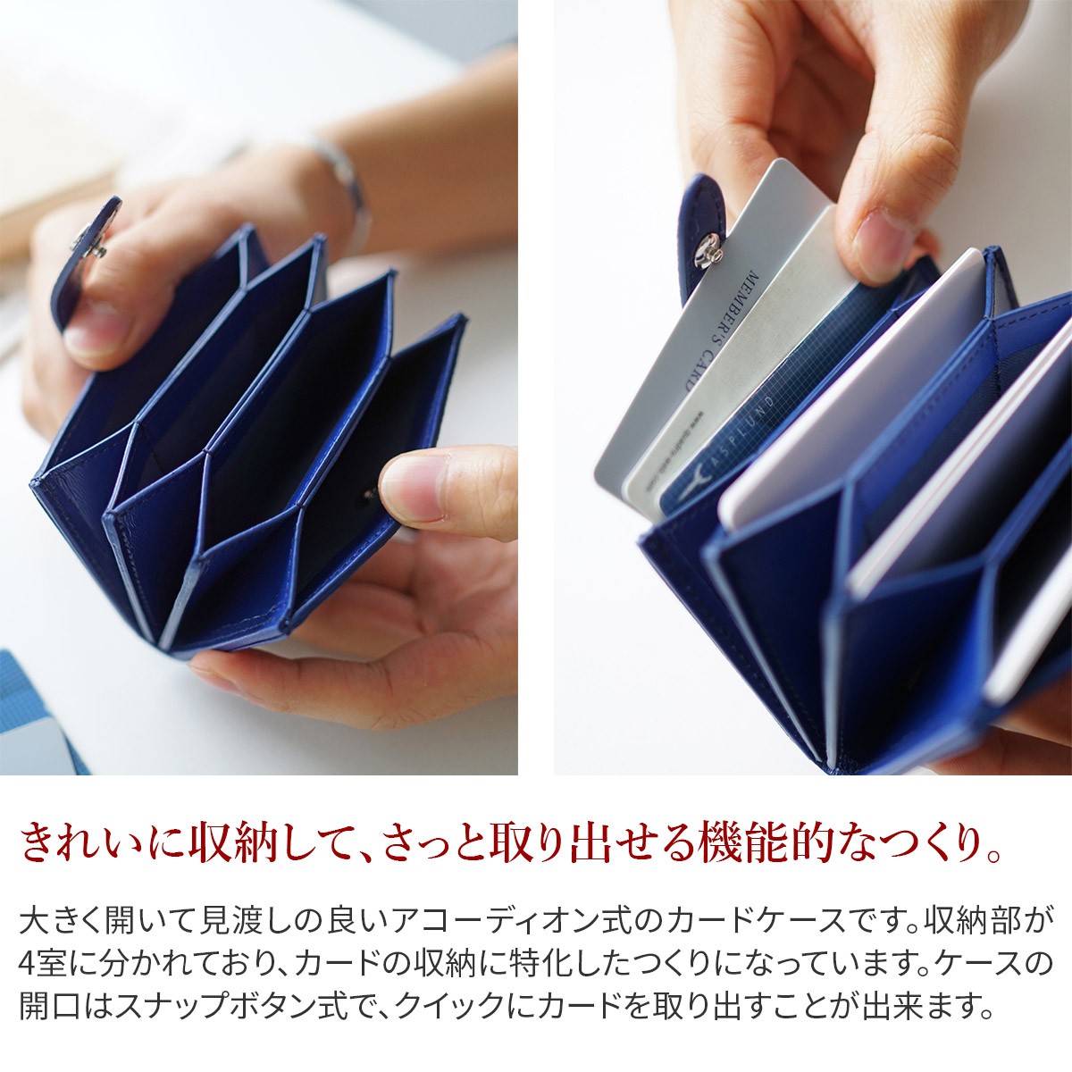 レディース Pelle Pmo Ba3 こだわりのブランド Sentire One 通販 Paypayモール Morbida ペッレモルビダ Barca バルカ