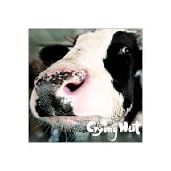 CRYING NUT / OK牧場の乳牛｜韓国 K-POP CD｜OPC0028
