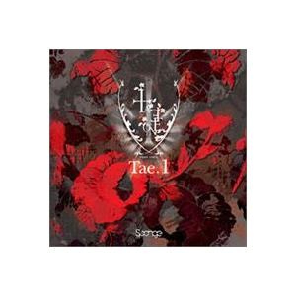 TAE.1(テウォン) / First Voice｜韓国 K-POP CD｜CMDC0713