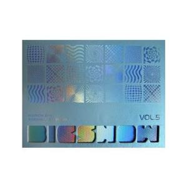 BIGBANG ビッグバン / 2010 Live Concert AlbumBIG SHOW YGK0016｜韓国 K-POP CD｜
