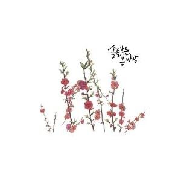 SOLSOLSPRINGWIND / 春がきました｜韓国 K-POP CD｜MBMC0444