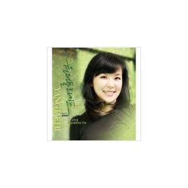 ヤン・ジェヒ / WONDERFUL LIFE｜韓国 K-POP CD｜157714