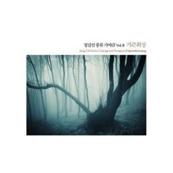 チョン・ギルソン / 風流カヤグム Vol.2｜韓国 K-POP CD｜NSC252