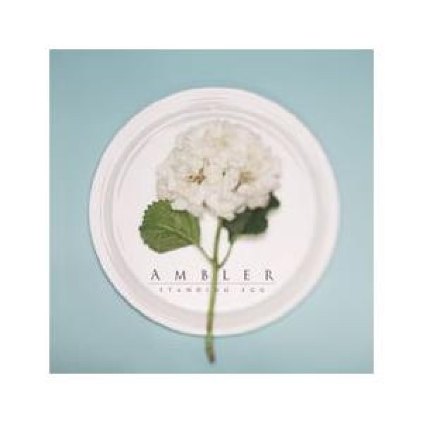STANDING EGG / AMBLER S90640C｜韓国 K-POP CD｜