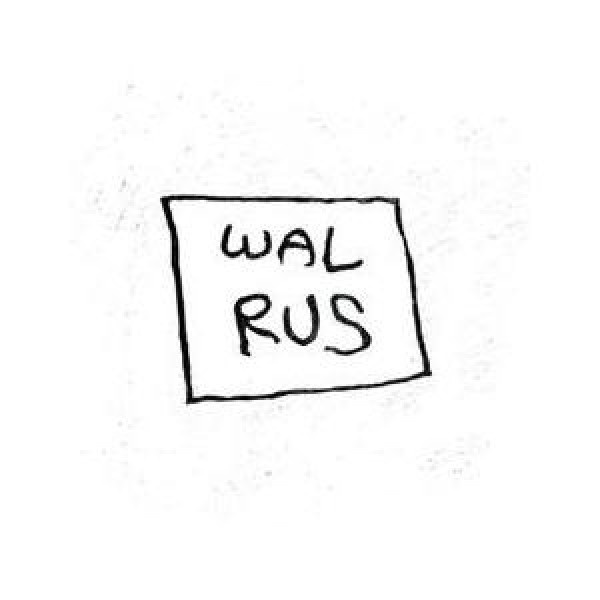 WALRUS(キム・ジェウク在籍) / THE 2ND SINGLES｜韓国 K-POP CD｜S40250C