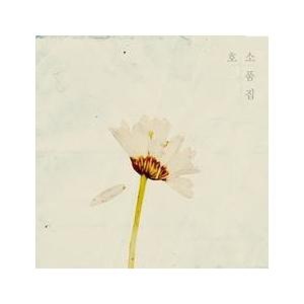 HOSO / HOSO小品集｜韓国 K-POP CD｜D13144C