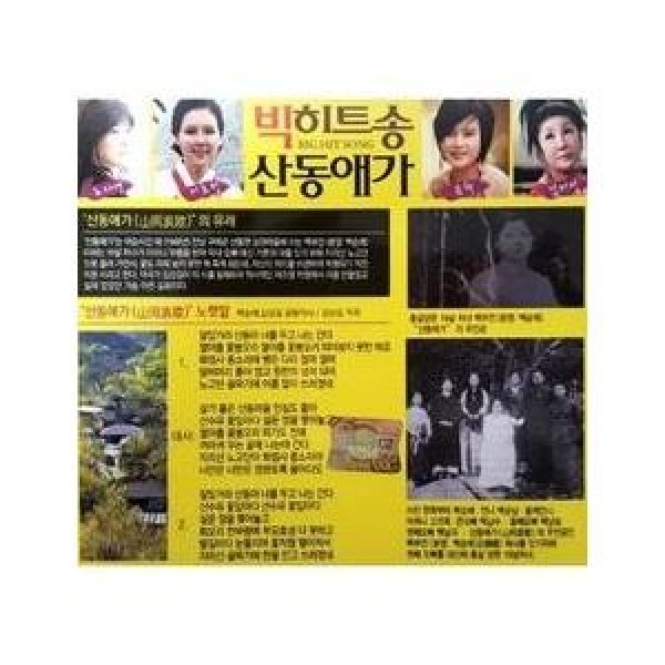 V.A / ビッグヒットソング山東哀歌(2CD)｜トロット：演歌｜オムニバス｜韓国 K-POP CD｜360684