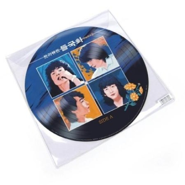 V.A / トリビュート野菊 PART.2(2023 リマスターピクチャーディスク限定盤)(LPレコード盤)