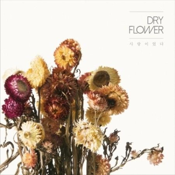 DRY FLOWER / 愛だった｜韓国 K-POP CD｜