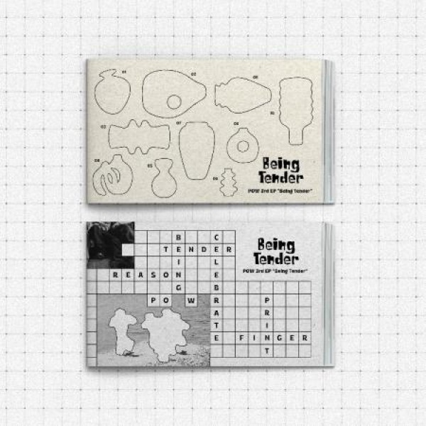 POW / BEING TENDER PHOTOBOOK VER.(２種から１種ランダム発送)｜韓国 K-POP CD｜