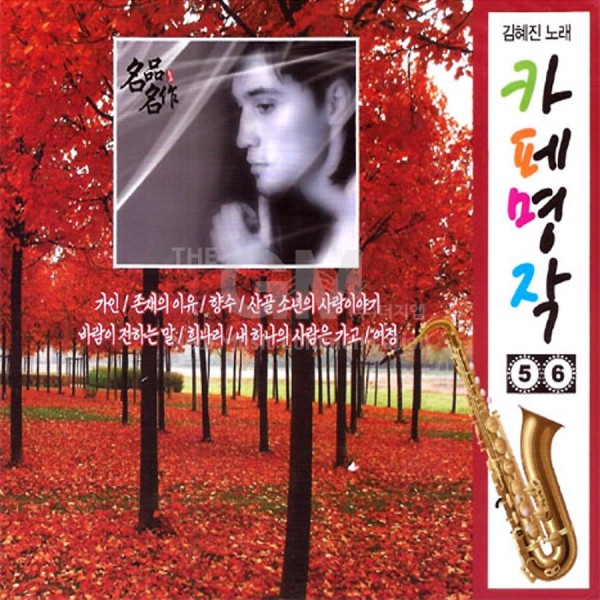 キム・ヘジン / カフェ名作 5+6集(2CD)｜トロット：演歌｜韓国 K-POP CD｜