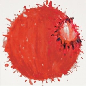 THORNAPPLE / 私はしきりにども って眠り方も忘れたよ (LPレコード盤)