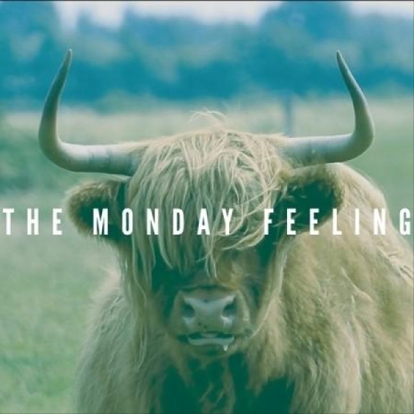 THE MONDAY FEELING / ABSOLUTELY CLEARLY｜韓国 K-POP CD｜