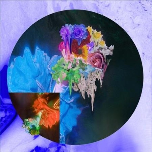 HOUDINI / HOLLOW｜韓国 K-POP CD｜