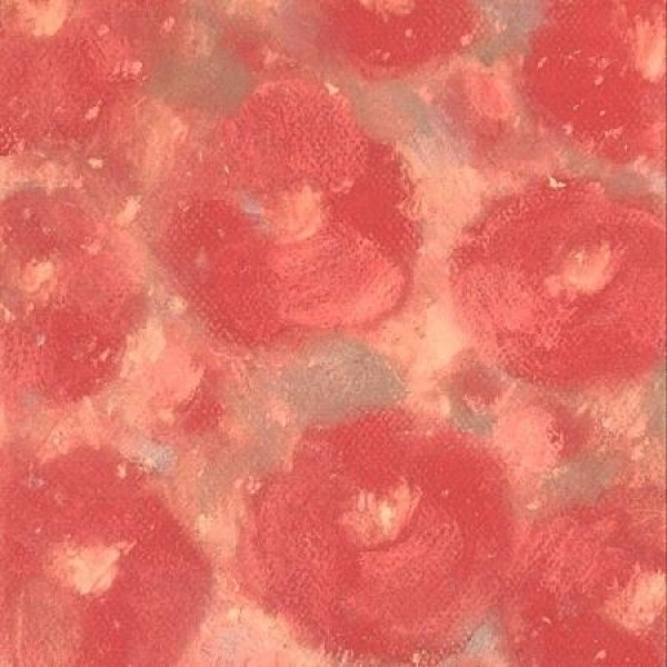 インセ(INSE) / 開花｜韓国 K-POP CD｜