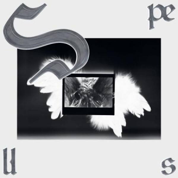 ハン・ジョンイン / SPELLS｜韓国 K-POP CD｜