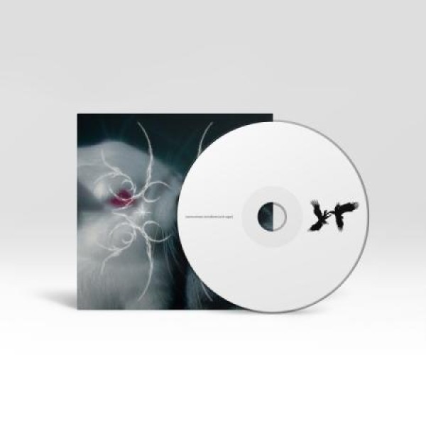 LEAVEOURTEARS / ACID SUGAR｜韓国 K-POP CD｜