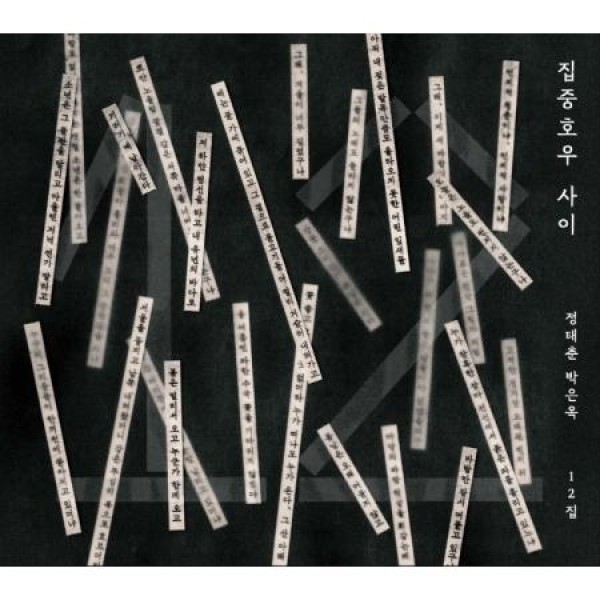 チョン・テチュン、パク・ウンオク / 集中豪雨の間｜韓国 K-POP CD｜