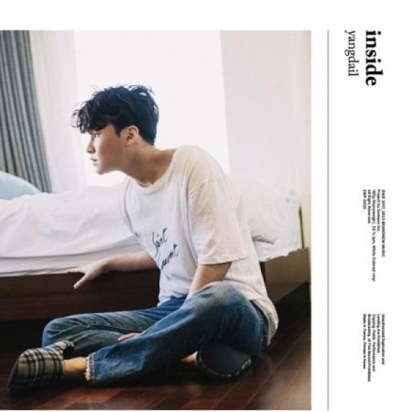 ヤン・ダイル / inside (180g ホワイトカラー盤)(LPレコード盤)