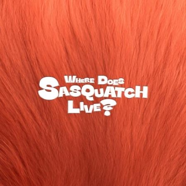 ZIOR PARK / WHERE DOES SASQUATCH LIVE?｜韓国 K-POP CD｜