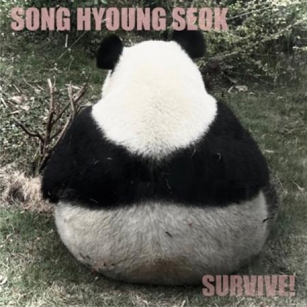 ソン・ヒョンソク(SONG HYEONG SEOK) / SURVIVE｜韓国 K-POP CD｜