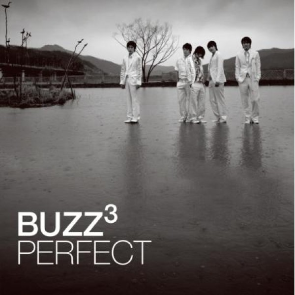 BUZZ / PERFECT (180g VIRGIN VINYL)(LPレコード盤)