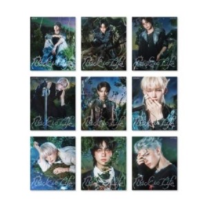 ＆TEAM / BACK TO LIFE(KR 1ST ミニアルバム) ROAR VER.(９種から１種ランダム発送)｜韓国 K-POP CD｜