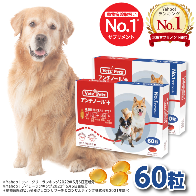 アンチノール プラス 犬用サプリメント 60粒 : s-an0011303002